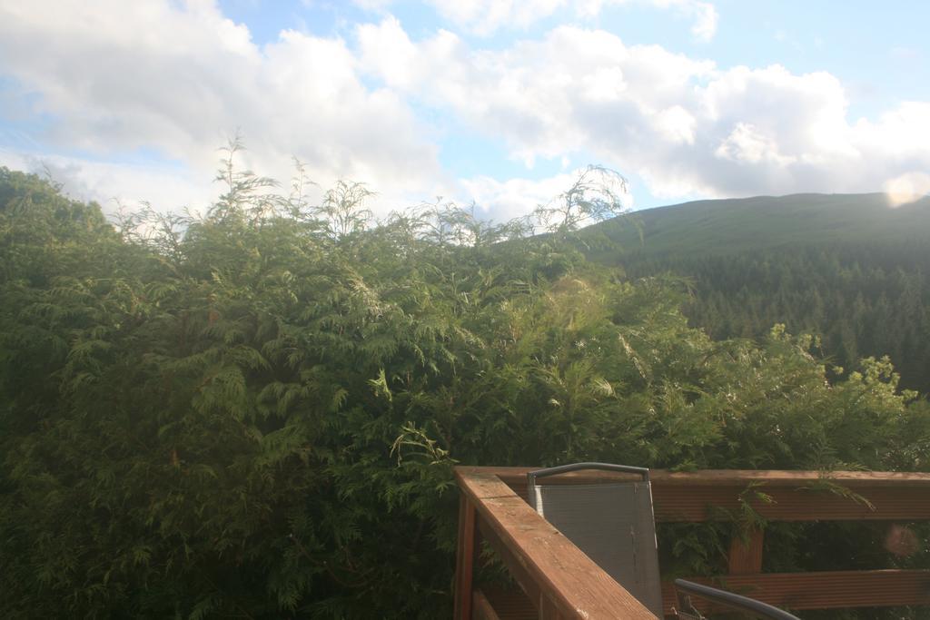 Laragh Mountain View Lodge Saggart Номер фото
