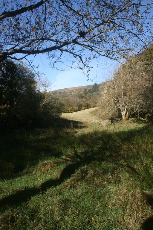 Laragh Mountain View Lodge Saggart Экстерьер фото